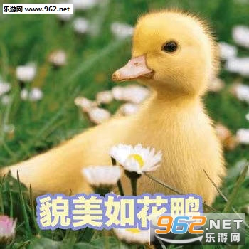 �ɰ�Ѽ�����