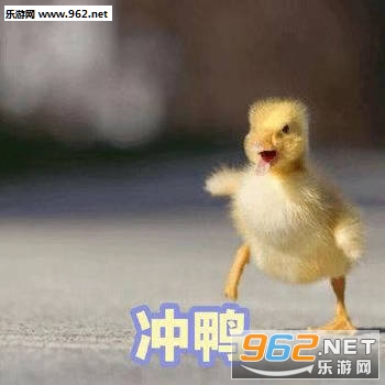�ɰ�Ѽ�����