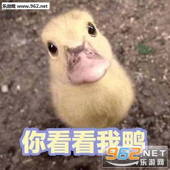 �ɰ�Ѽ�����