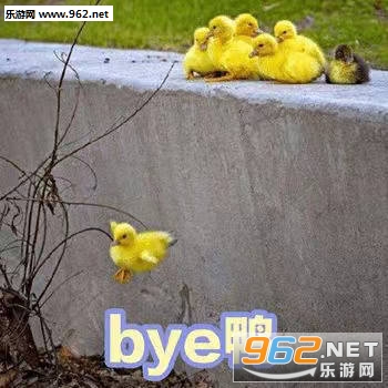 �ɰ�Ѽ�����