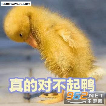 �ɰ�Ѽ�����
