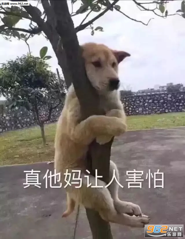 呦呦呦你个小东西表情包