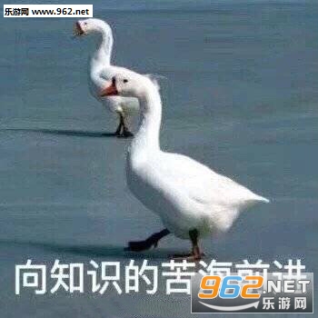 �ҿ����ֺ���������