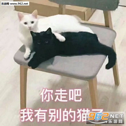 ���������߱����
