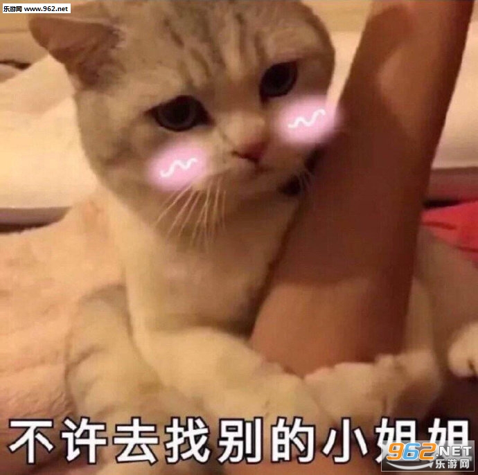360�������Ǳ�������