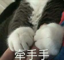 èצ�������Ǯ�����