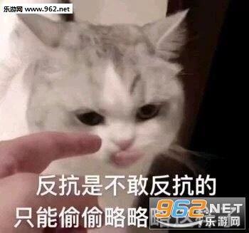 �����ǲ��ҷ����ı����