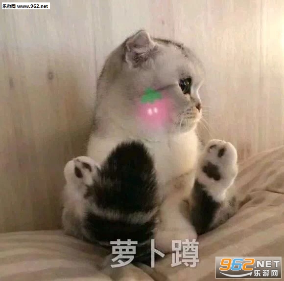 �����ǲ��ҷ����ı����