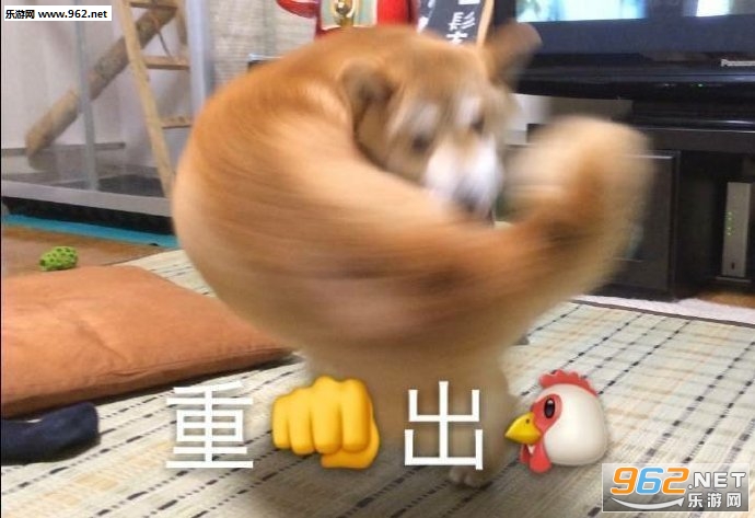 ��ȭ���������ͼƬ