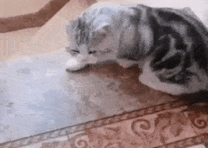 �ҿɰ�����������������ͼ