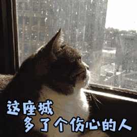 �����Ƕ���һ�����ĵ��˱����