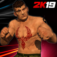 World Street Wrestling : Ultimate Combat Fights(�����ͷˤ�Ӱ�׿��)