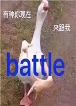 ����������������battle�����