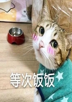 ����ϵ�б����