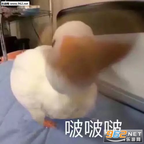�ɰ����ҳ����˶����������ͼ0