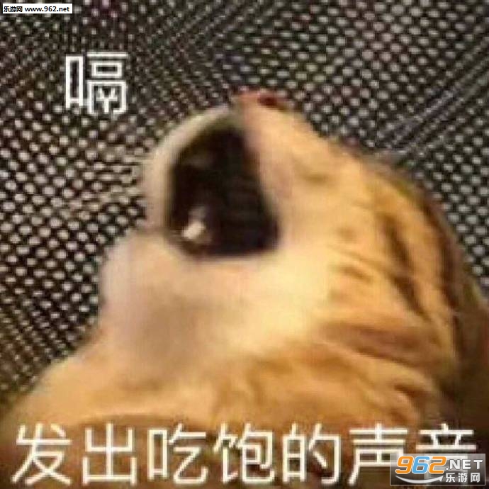 ���������ʲô�˼伲��������ͼ0