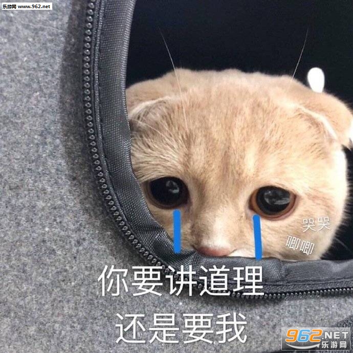 ���������ʲô�˼伲��������ͼ3