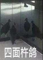 ��������ź���Ҫ�ٸ߸�ɳ������