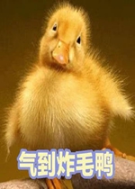 �ɰ�Ѽ�����