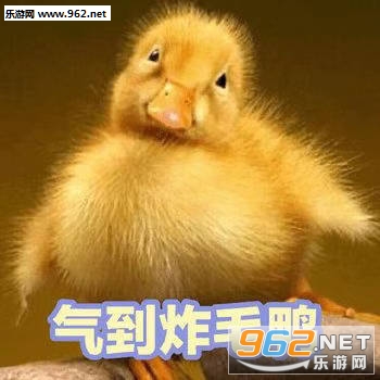 �ɰ�Ѽ�������ͼ0