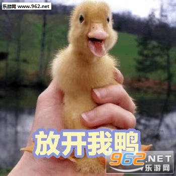 �ɰ�Ѽ�������ͼ1