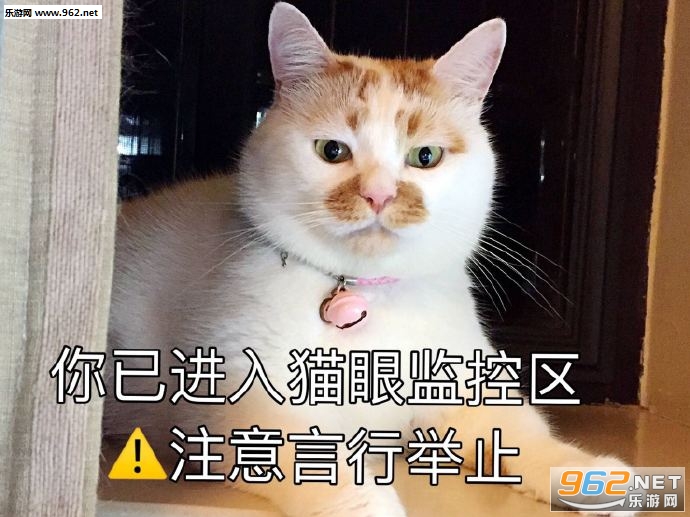 �����Ů�˺ܶ໰���������ͼ1
