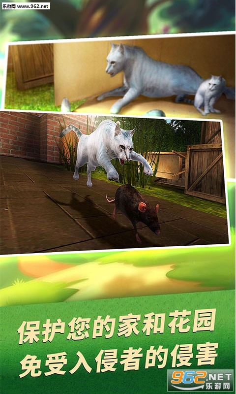 家猫生存模拟游戏截图1