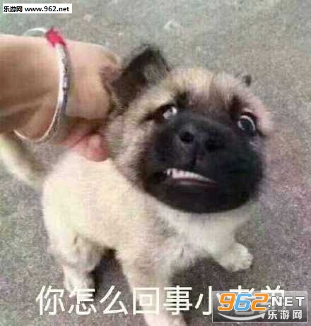 С�ϵ�������������ôһ�Ա������ͼ0