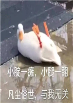�㲻��������ǰ��Ϸ�˱����
