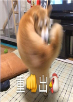��ȭ���������ͼƬ