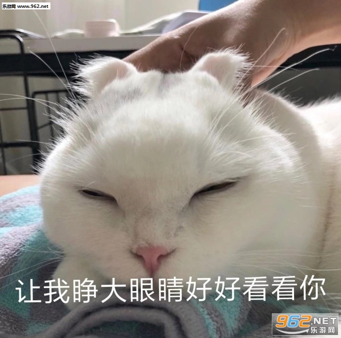 �ҿɰ�����������������ͼ��ͼ4