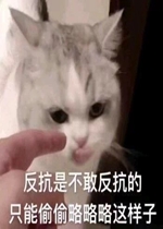 �����ǲ��ҷ����ı����