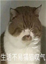 ��ʨ����������ƽϱ����