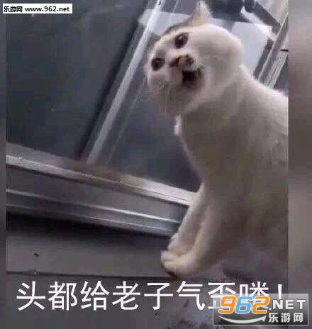 ����С����˱������ͼ5