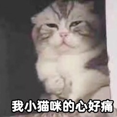 �㶼�ж����˻�������������ͼ5