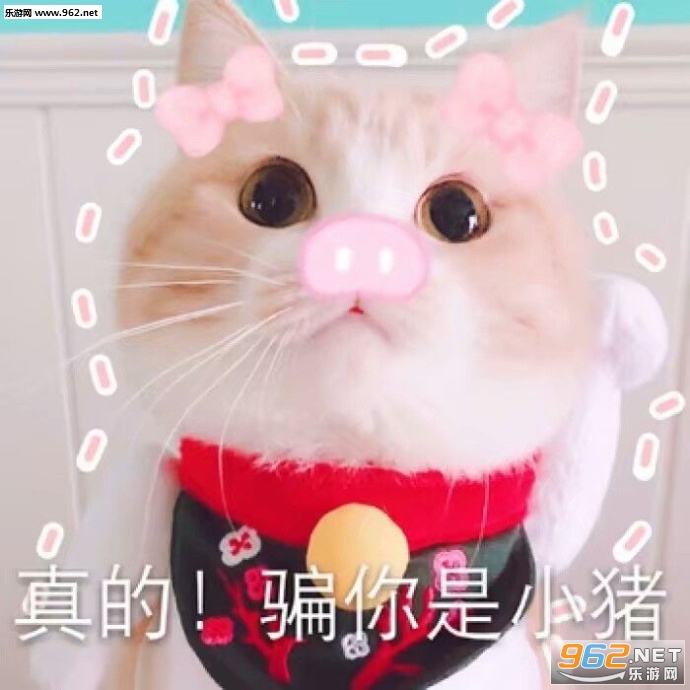 �㶼�ж����˻�������������ͼ4