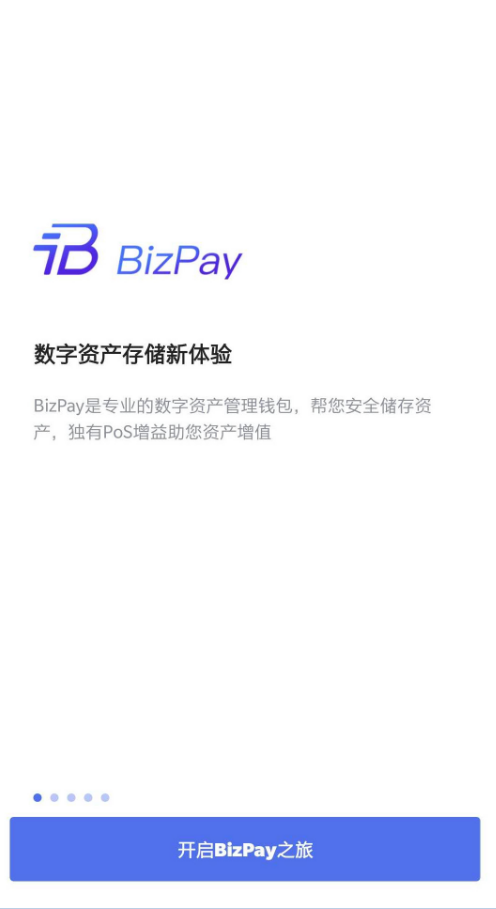 BizPay appv1.0.0��ͼ0