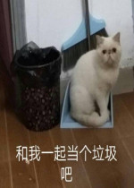 ���ҳ���è�����