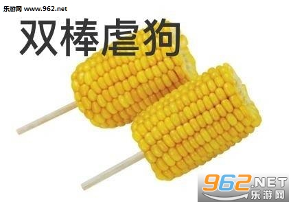 ��ֻ�Ǹ�������Ƭ�ı������ͼ2