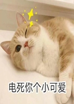 �������С�ɰ���������
