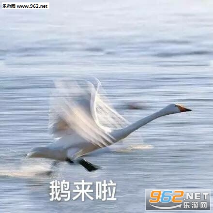 拉黑警告感叹号表情包 拉黑警告感叹号表情包