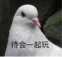 �Һô����������