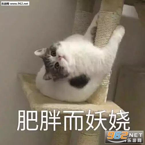 �һ������ڿ�������û��֤����ʲô�������