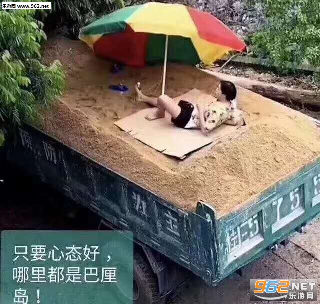 求求你摇了我8猫表情包 求求你摇了我8猫表情包