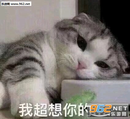 �Ҿ͹�䲻������