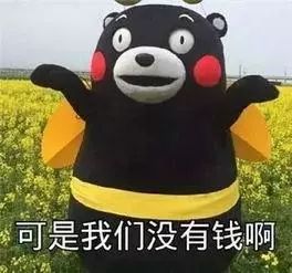 没有钱的表情图片