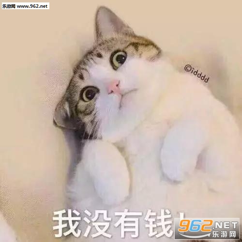 没有钱的表情图片