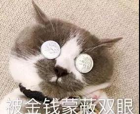 没有钱的表情图片