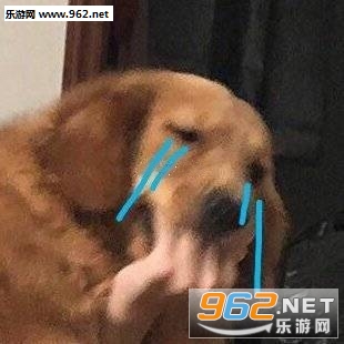 ���Ǯ����Ϸ��������ĺ����б����