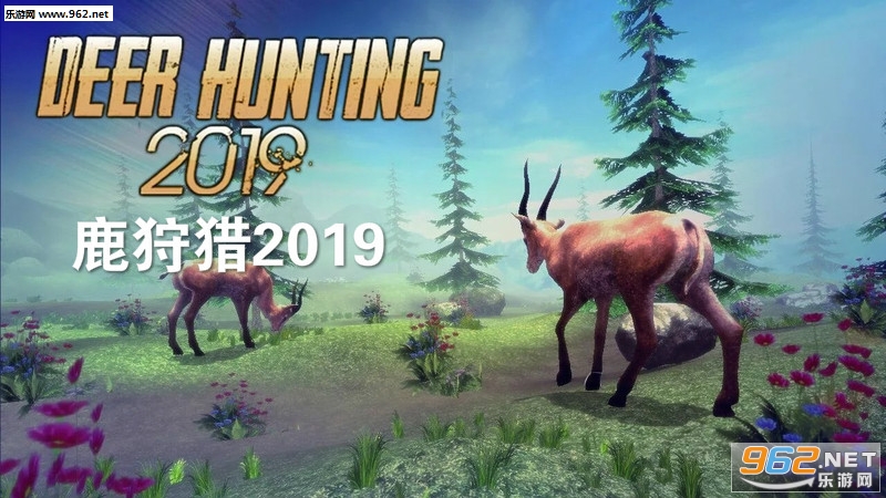 ¹����2019����